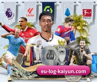 开云体育 APP（kaiyun.com）